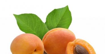 Абрикосы в желе на зиму Как сварить желе из абрикосов с желатином